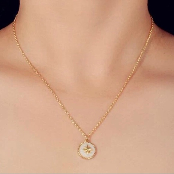 Mother of Pearl Star- White Iridescent Shell Ishtar Starburst Stainless Necklace - Picture 15 of 17